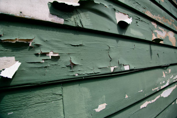 Best Dumpster Rental Services  in Shelbyville, IN