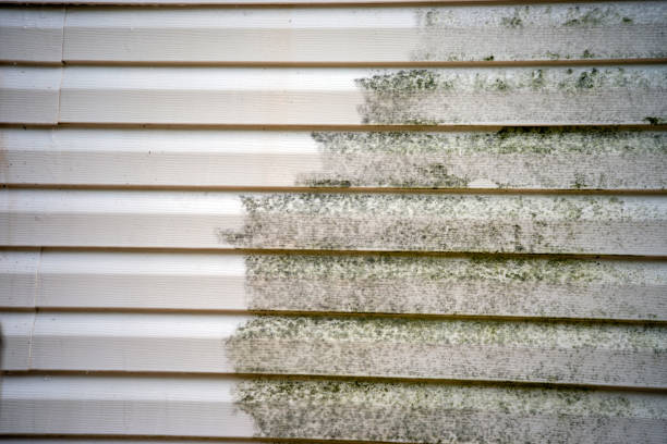 Best Appliance Removal  in Shelbyville, IN