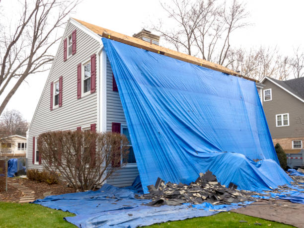 Best Same-Day Junk Removal Services  in Shelbyville, IN